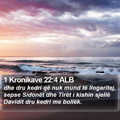 1 Kronikave 22:4 ALB Bible Verse Image