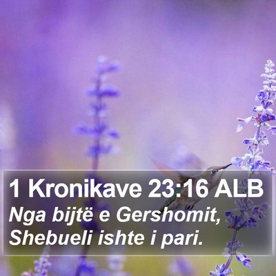 1 Kronikave 23:16 ALB Bible Verse Image