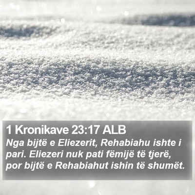 1 Kronikave 23:17 ALB Bible Verse Image