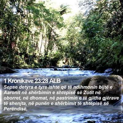 1 Kronikave 23:28 ALB Bible Verse Image