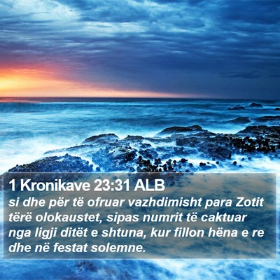 1 Kronikave 23:31 ALB Bible Verse Image