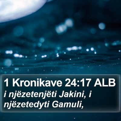 1 Kronikave 24:17 ALB Bible Verse Image