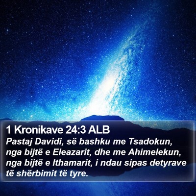 1 Kronikave 24:3 ALB Bible Verse Image
