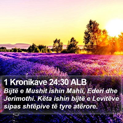 1 Kronikave 24:30 ALB Bible Verse Image