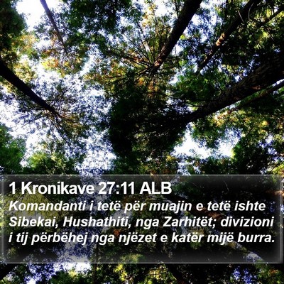 1 Kronikave 27:11 ALB Bible Verse Image