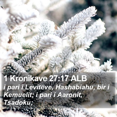1 Kronikave 27:17 ALB Bible Verse Image