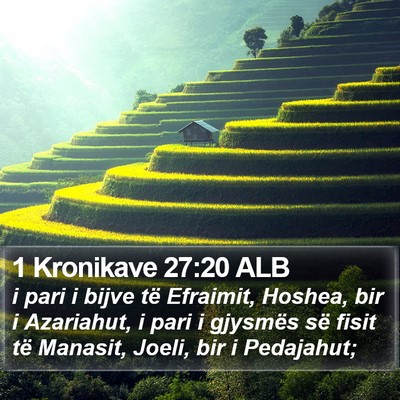 1 Kronikave 27:20 ALB Bible Verse Image