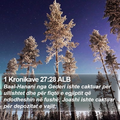 1 Kronikave 27:28 ALB Bible Verse Image