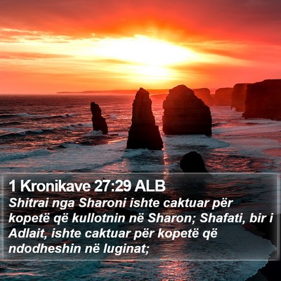 1 Kronikave 27:29 ALB Bible Verse Image
