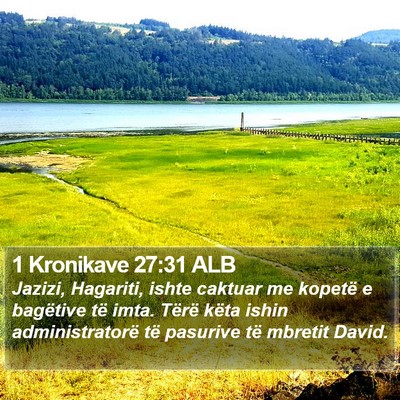 1 Kronikave 27:31 ALB Bible Verse Image