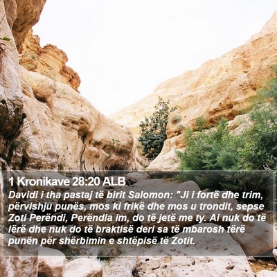 1 Kronikave 28:20 ALB Bible Verse Image