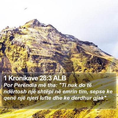 1 Kronikave 28:3 ALB Bible Verse Image