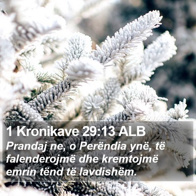 1 Kronikave 29:13 ALB Bible Verse Image