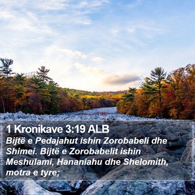 1 Kronikave 3:19 ALB Bible Verse Image