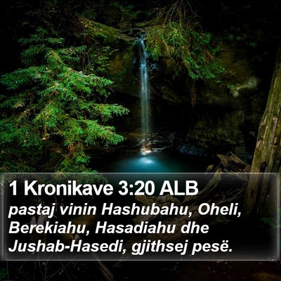 1 Kronikave 3:20 ALB Bible Verse Image