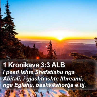 1 Kronikave 3:3 ALB Bible Verse Image