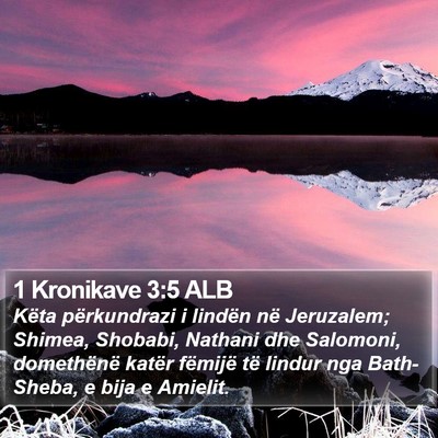 1 Kronikave 3:5 ALB Bible Verse Image