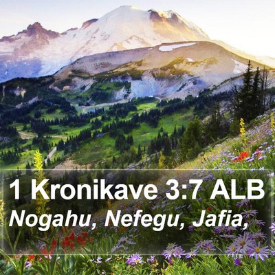 1 Kronikave 3:7 ALB Bible Verse Image