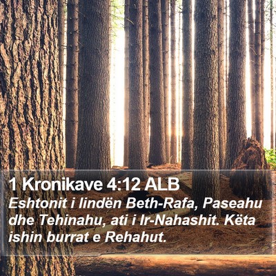 1 Kronikave 4:12 ALB Bible Verse Image