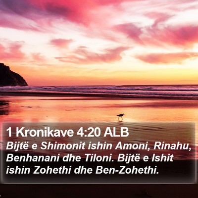 1 Kronikave 4:20 ALB Bible Verse Image
