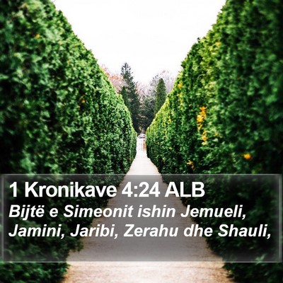 1 Kronikave 4:24 ALB Bible Verse Image