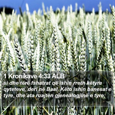 1 Kronikave 4:33 ALB Bible Verse Image