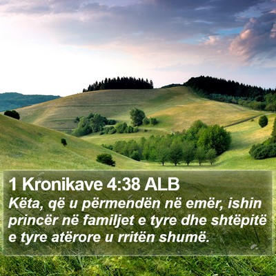 1 Kronikave 4:38 ALB Bible Verse Image