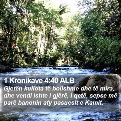 1 Kronikave 4:40 ALB Bible Verse Image