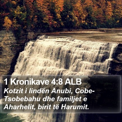 1 Kronikave 4:8 ALB Bible Verse Image
