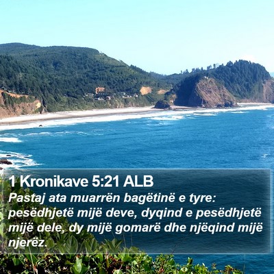 1 Kronikave 5:21 ALB Bible Verse Image