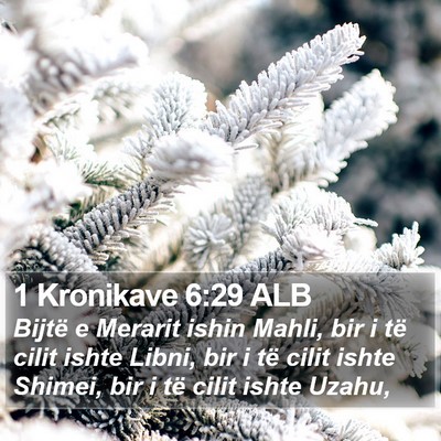 1 Kronikave 6:29 ALB Bible Verse Image