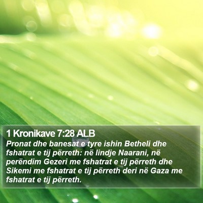 1 Kronikave 7:28 ALB Bible Verse Image