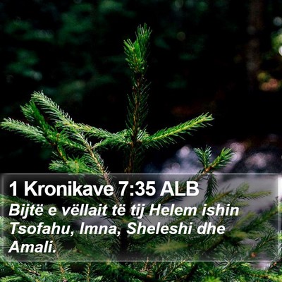 1 Kronikave 7:35 ALB Bible Verse Image