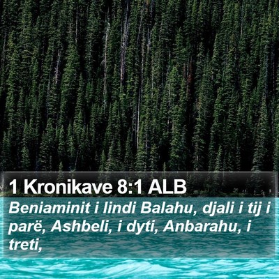 1 Kronikave 8:1 ALB Bible Verse Image