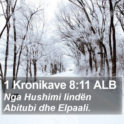 1 Kronikave 8:11 ALB Bible Verse Image