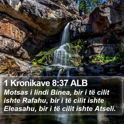 1 Kronikave 8:37 ALB Bible Verse Image