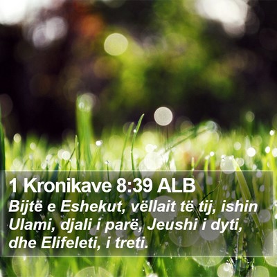 1 Kronikave 8:39 ALB Bible Verse Image