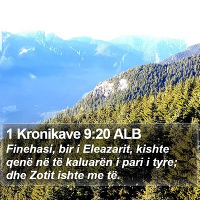 1 Kronikave 9:20 ALB Bible Verse Image