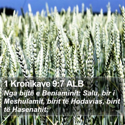 1 Kronikave 9:7 ALB Bible Verse Image