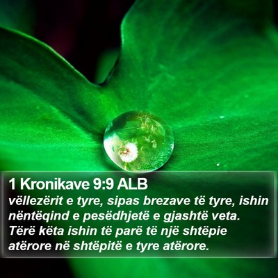 1 Kronikave 9:9 ALB Bible Verse Image