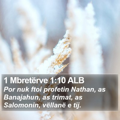 1 Mbretërve 1:10 ALB Bible Verse Image