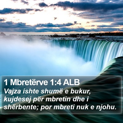 1 Mbretërve 1:4 ALB Bible Verse Image