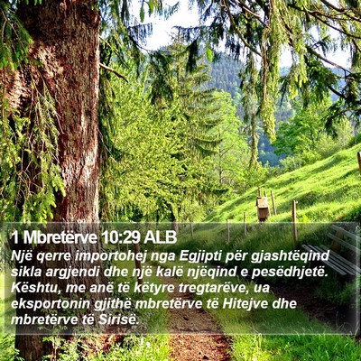 1 Mbretërve 10:29 ALB Bible Verse Image