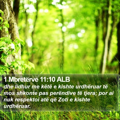 1 Mbretërve 11:10 ALB Bible Verse Image
