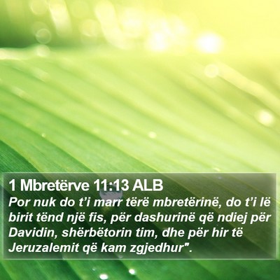 1 Mbretërve 11:13 ALB Bible Verse Image