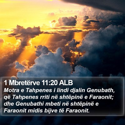 1 Mbretërve 11:20 ALB Bible Verse Image