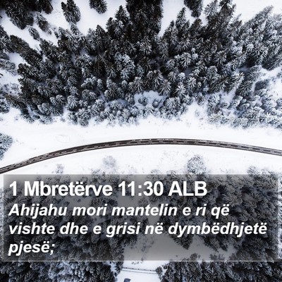 1 Mbretërve 11:30 ALB Bible Verse Image