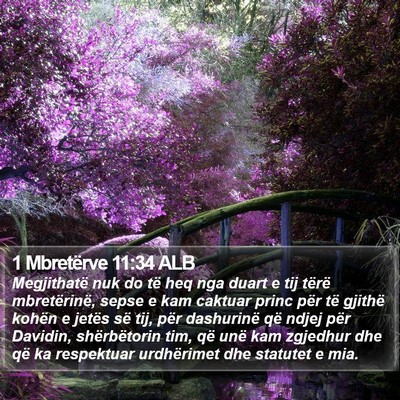 1 Mbretërve 11:34 ALB Bible Verse Image