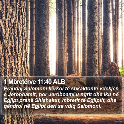 1 Mbretërve 11:40 ALB Bible Verse Image