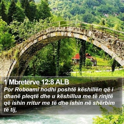 1 Mbretërve 12:8 ALB Bible Verse Image